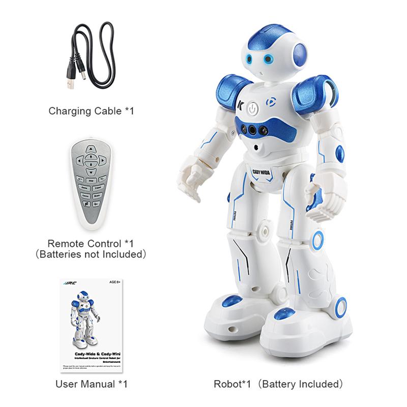Programming RC Humanoid Robot